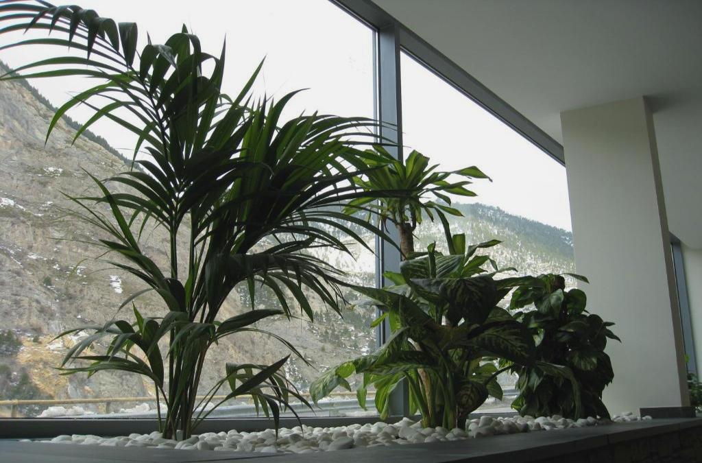 Hotel Obaga Blanca