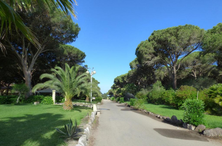 Horse Country Resort Congress & SPA