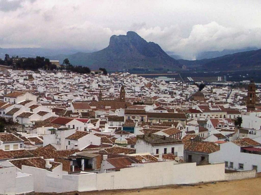 Coso Viejo