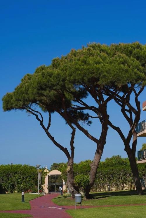 Strandtage und Familienerlebnisse in Sancti Petri - Aparthotel Las Dunas
