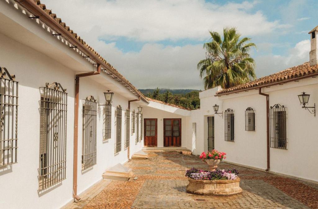 DWO Finca Los Abetos