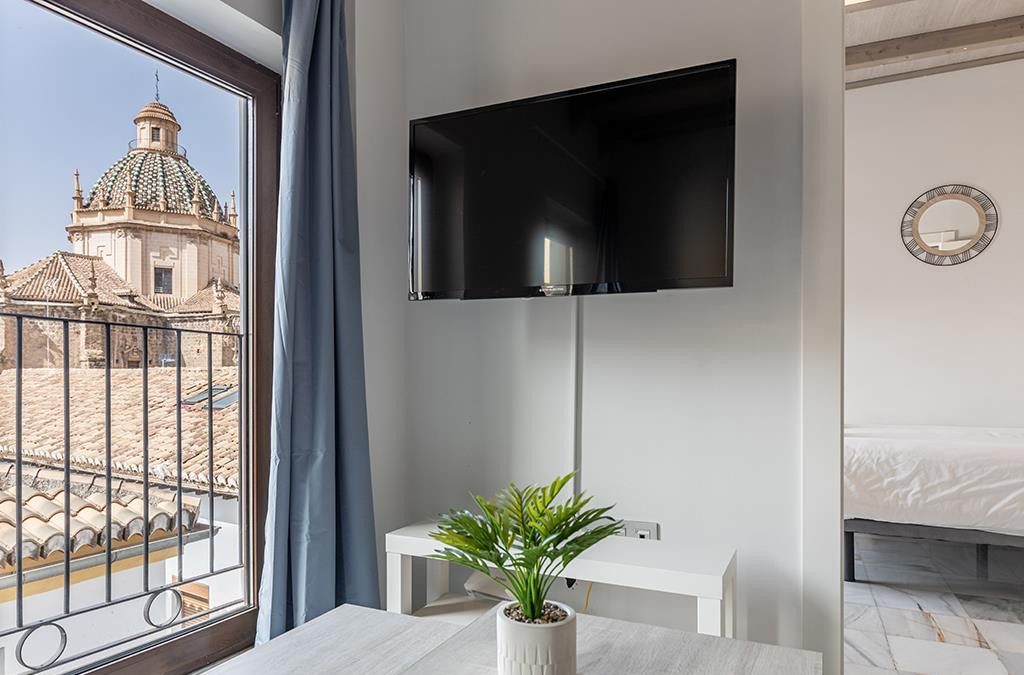 Apartamentos Varios Granada 3000