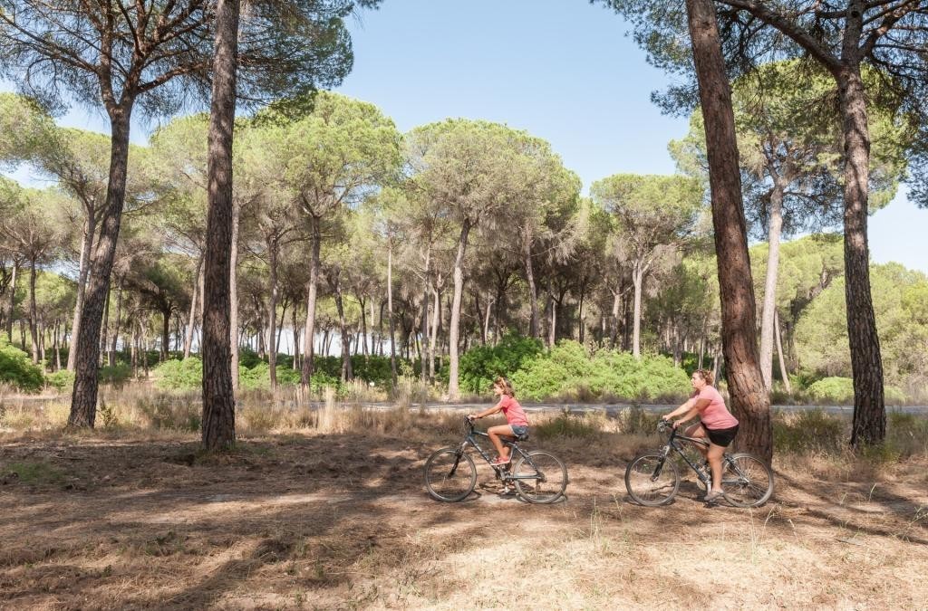 Découvrez Doñana ! Un paradis naturel unique  - Huttopia Parque De Doñana