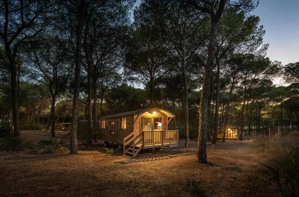 Découvrez Doñana ! Un paradis naturel unique  - Huttopia Parque De Doñana