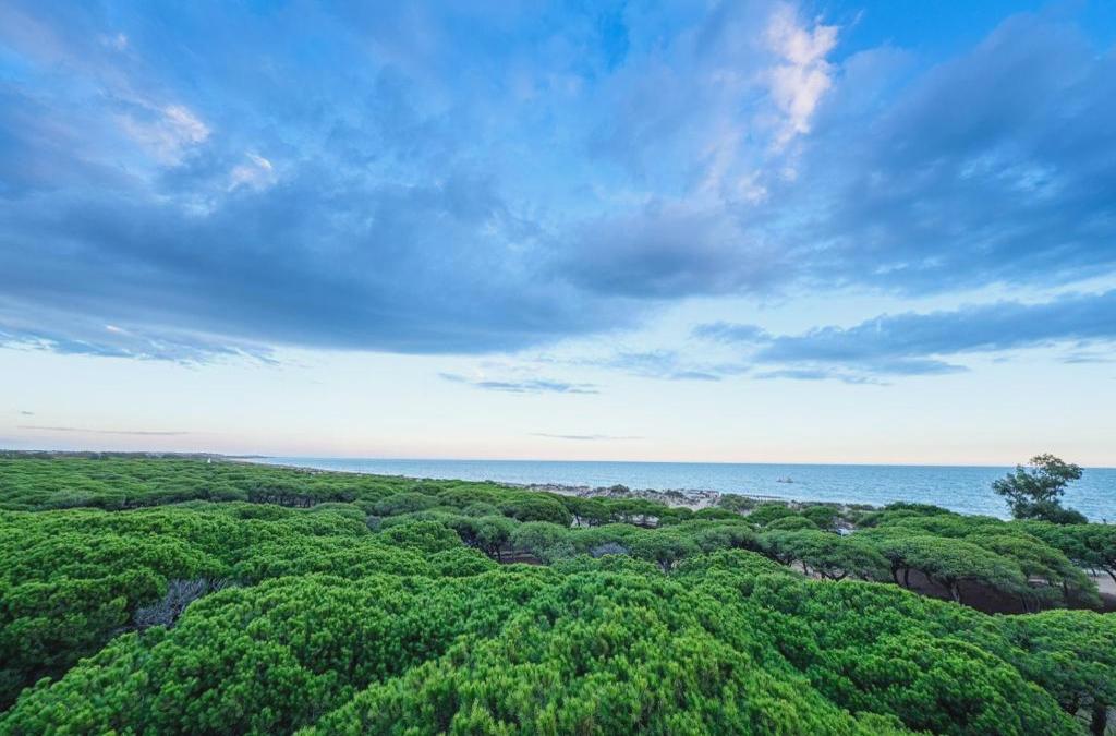 Isla Cristina: Wo jeder Tag in Gold endet