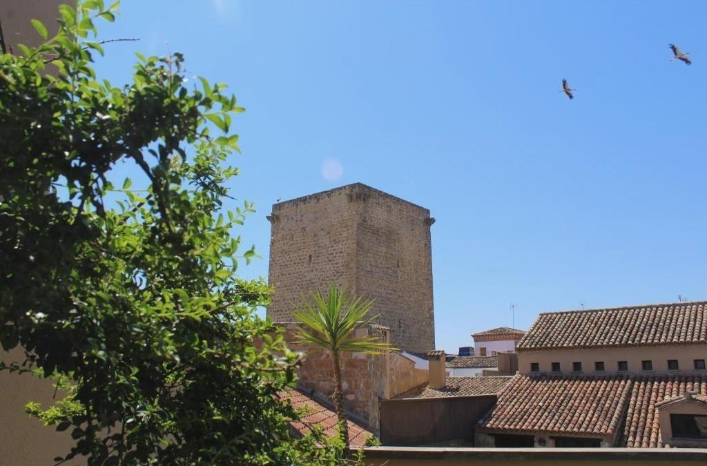 Un palais du XVe siècle doté d'un spa à Jaén