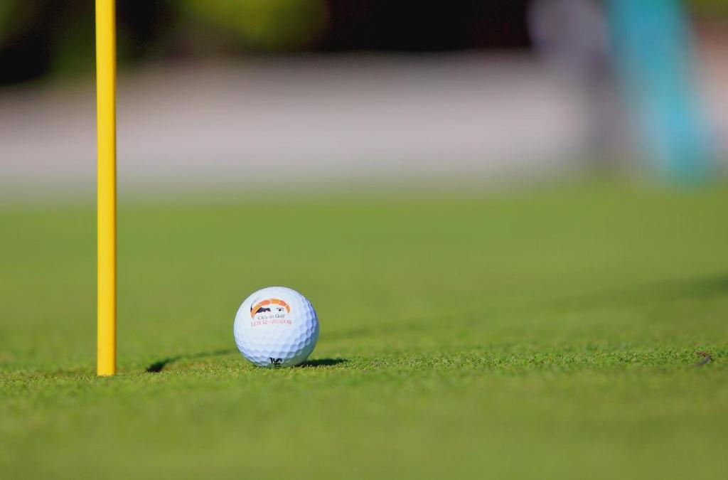 Impressive Playa Granada Golf