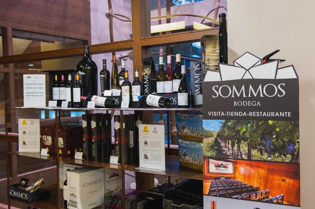 Sommos Hotel Aneto