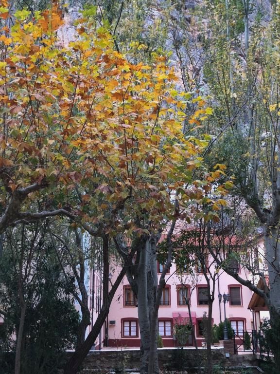 Hotel Balneario de La Virgen