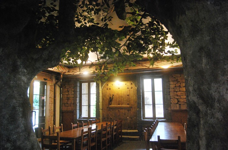 Albergue Pirenarium