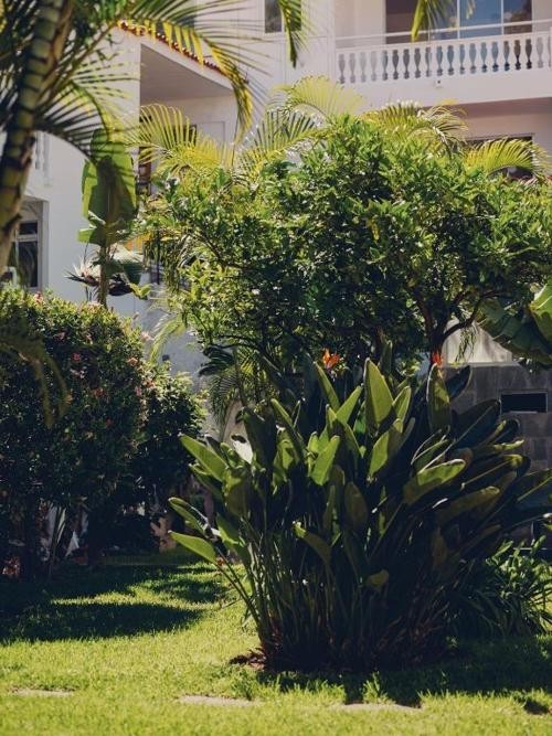 Hotel Route Active in Puerto de la Cruz - Tenerife - Route Active Hotel