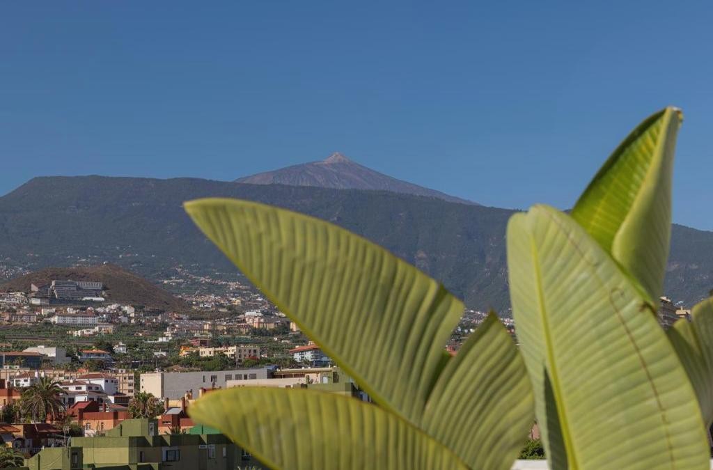 As suas férias de verão em Tenerife Puerto de la Cruz - Hotel Marte