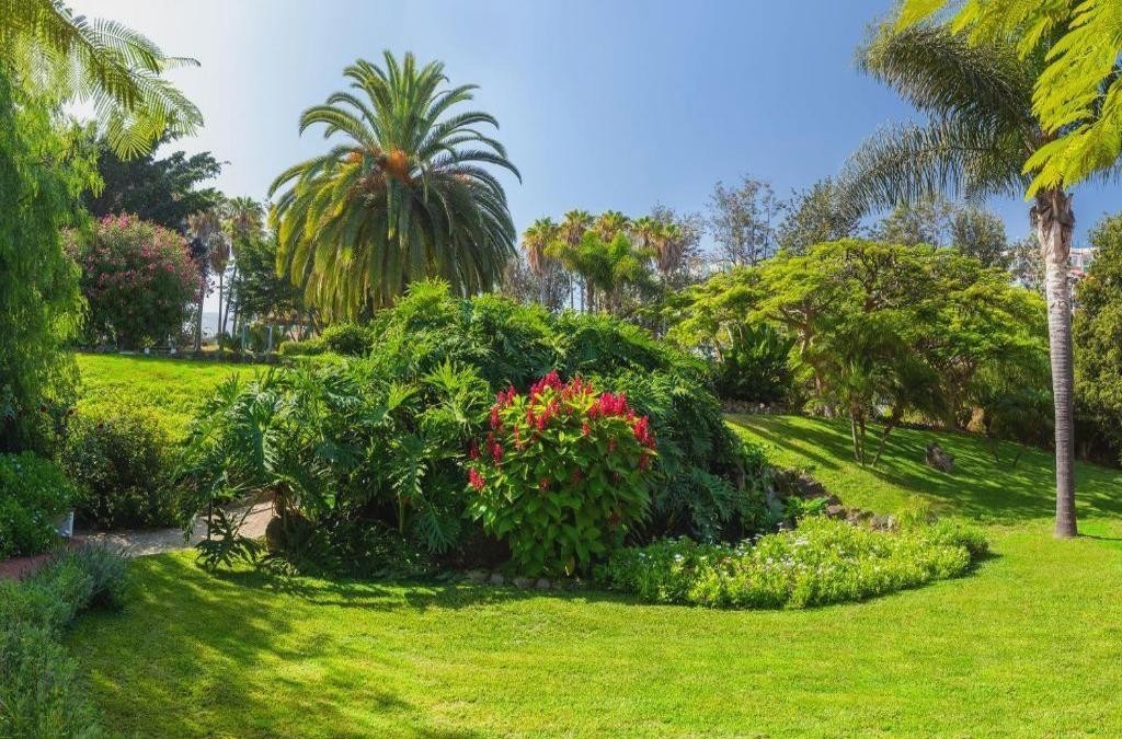 Tenerife, escapade au cœur des Canaries - Parque Vacacional Edén