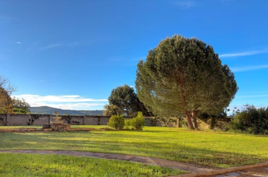 León: tapas, história e encanto do norte - Checkin Basic León Norte