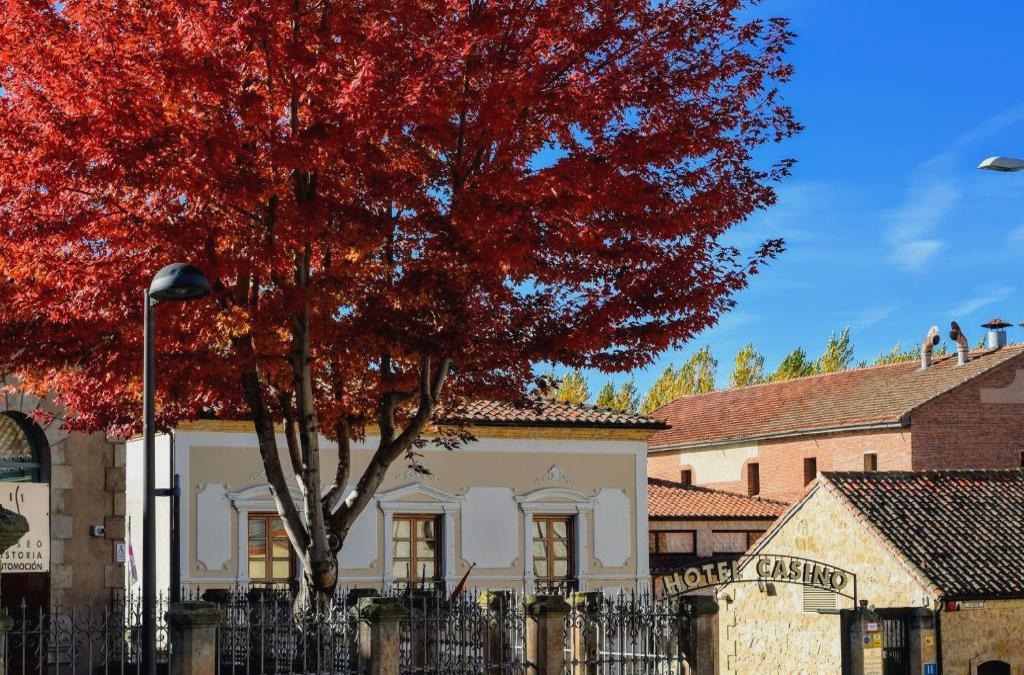 Salamanca mit Stil: Kunst, Geschichte und Entspannung im Zentrum von Salamanca - Hospedium Casino del Tormes