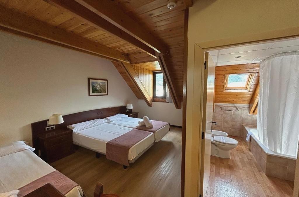 Hotel Romànic