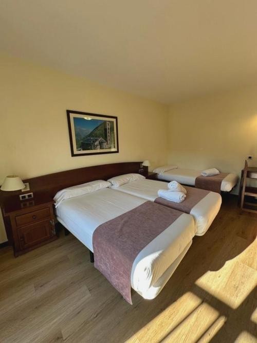 Hotel Romànic