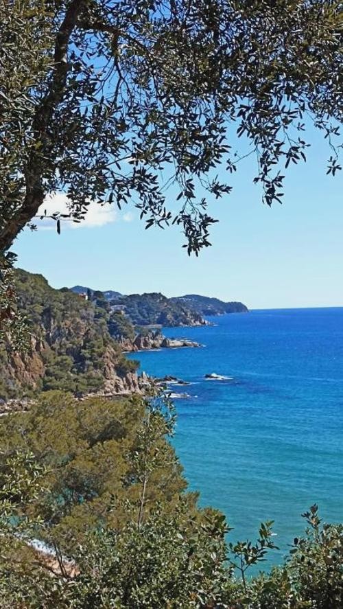 Your Costa Brava break from Platja d’Aro – sun, sea & freedom - Daro Apartments