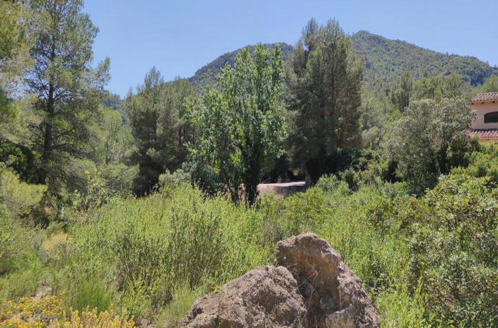 Relaxe e cultura a um passo de Tarragona - La Figuerola Hotel & Restaurant