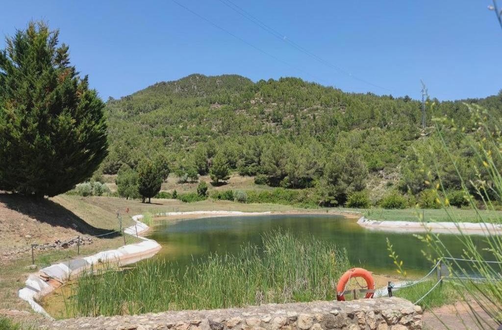 Relaxe e cultura a um passo de Tarragona - La Figuerola Hotel & Restaurant