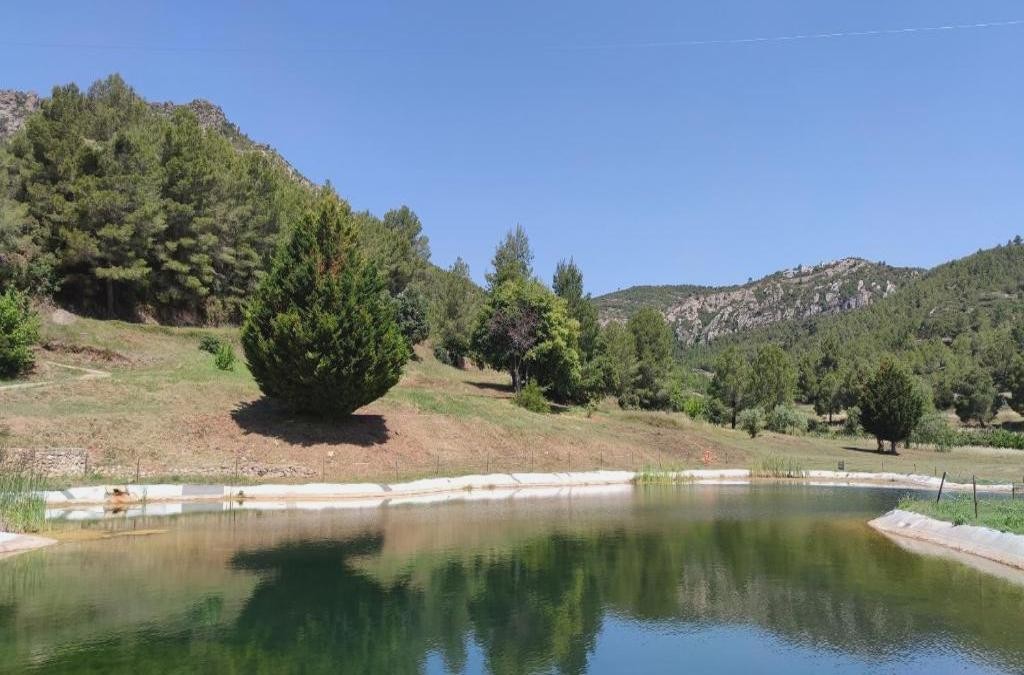 Relaxe e cultura a um passo de Tarragona - La Figuerola Hotel & Restaurant