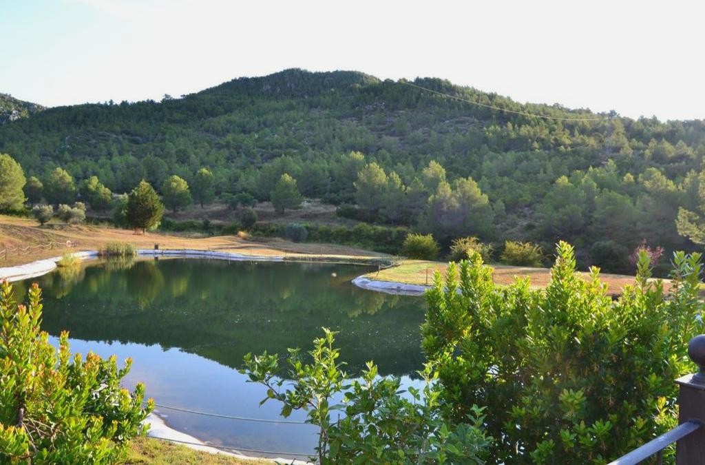 Relaxe e cultura a um passo de Tarragona - La Figuerola Hotel & Restaurant