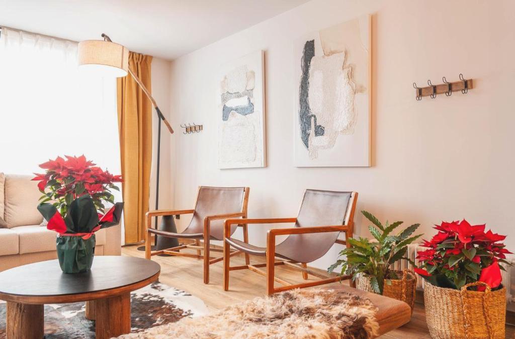 Hotel Viella