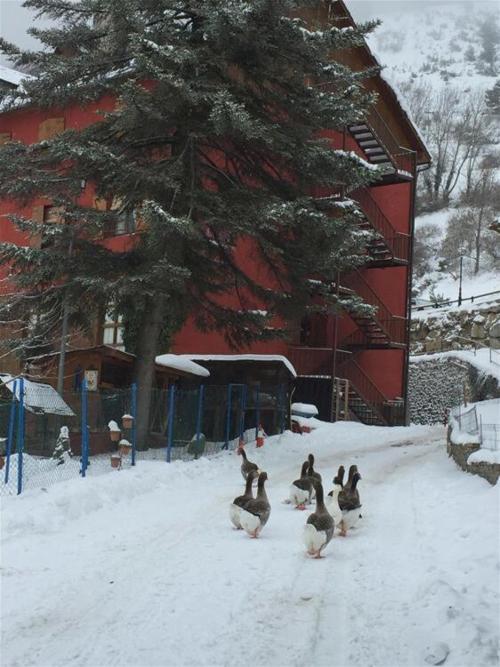 Hotel Hípic