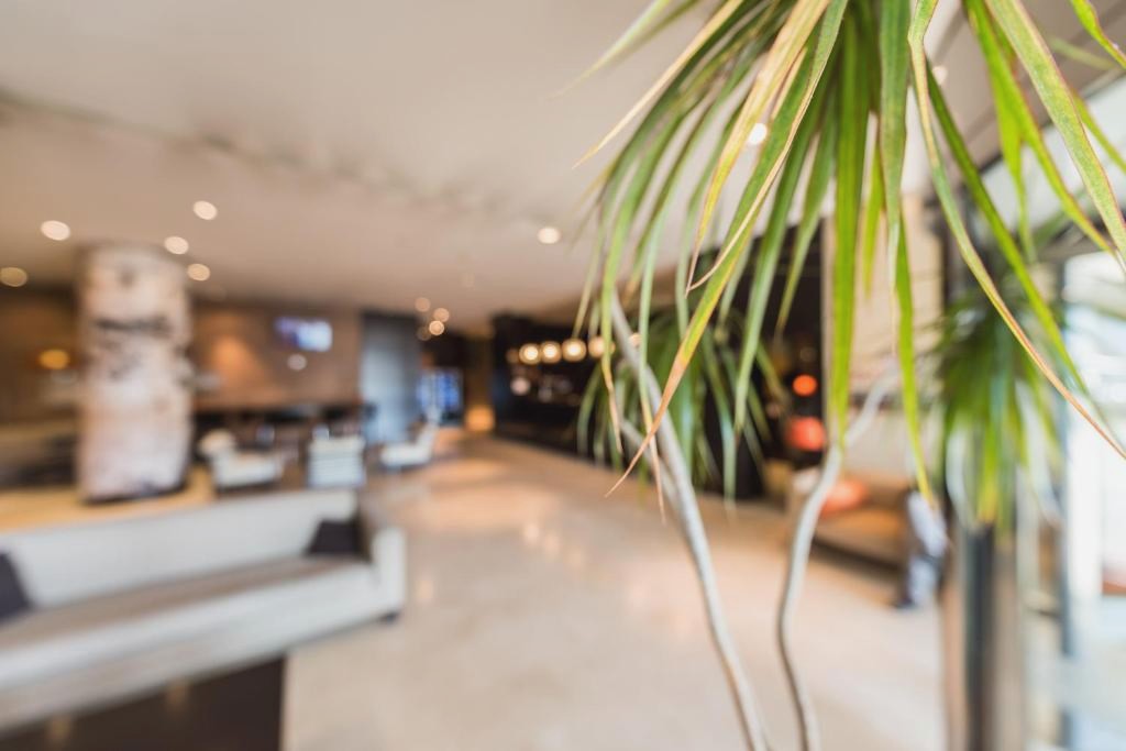 Hotel Mercader