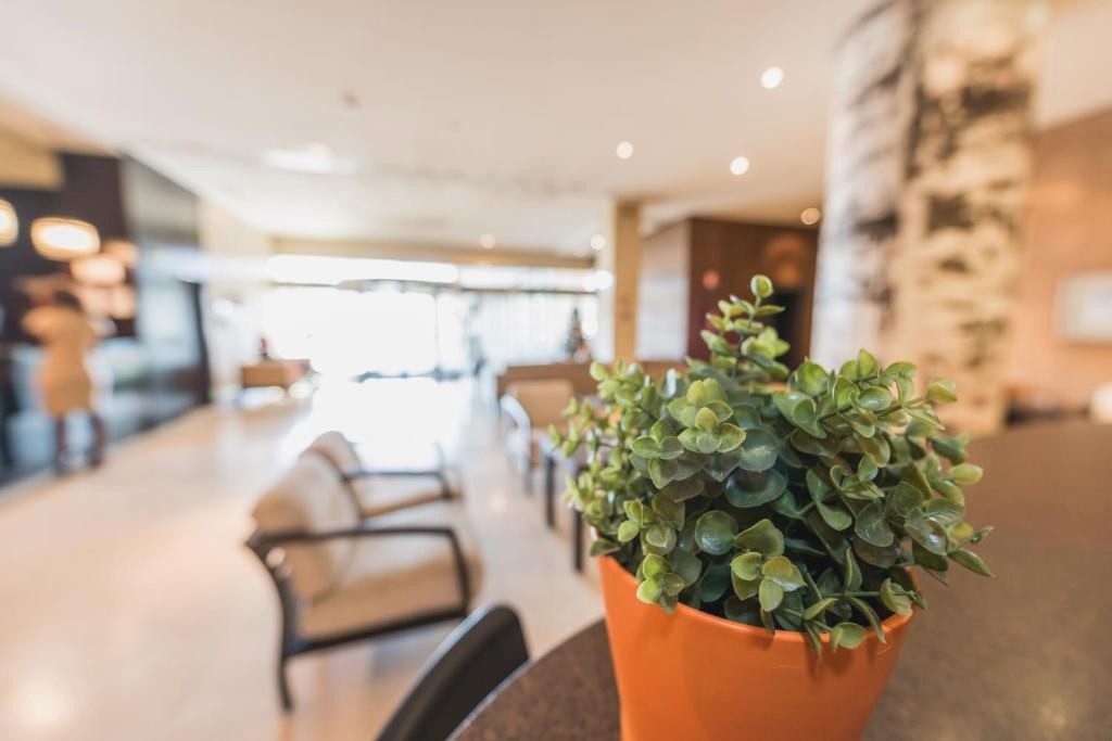 Hotel Mercader