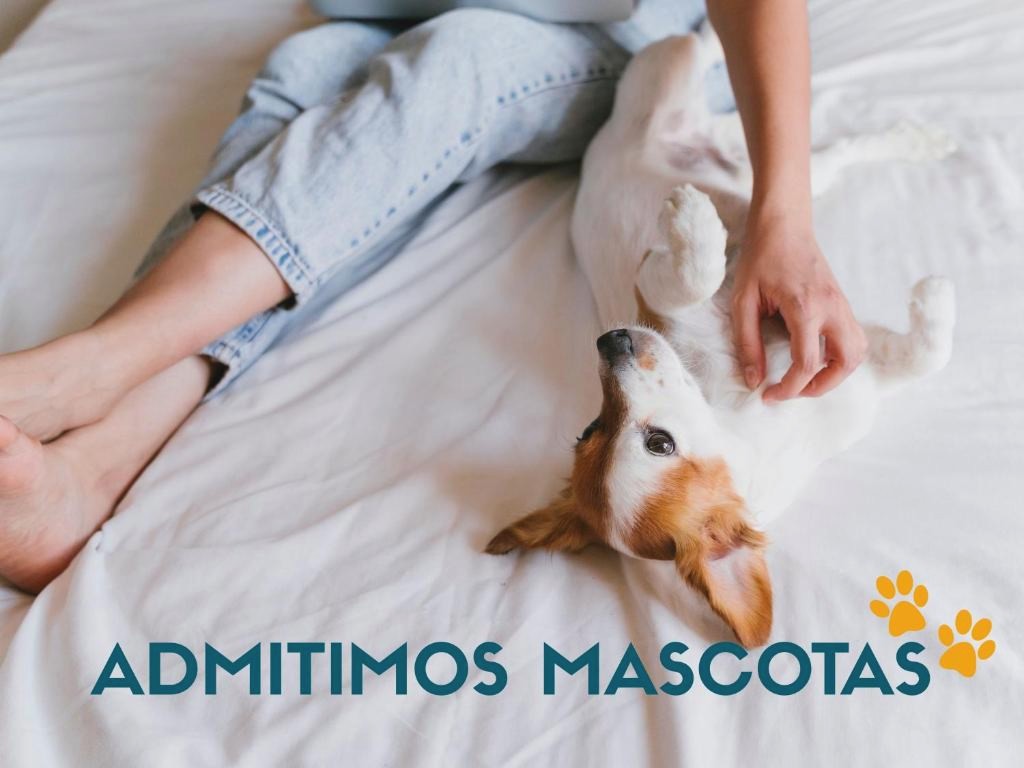 Apartamentos Alcocebre Suites 3000
