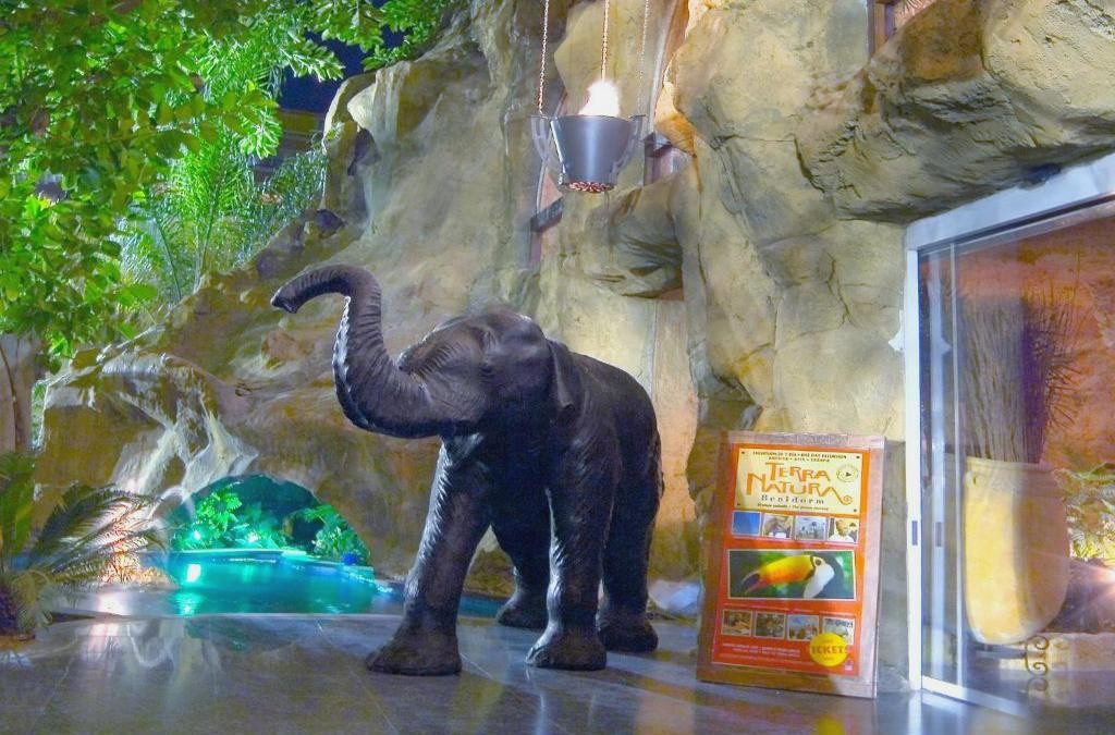 Hôtel Magic Tout Inclus à Benidorm ! Un enfant séjourne GRATUITEMENT ! - Magic Aqua Rock Gardens