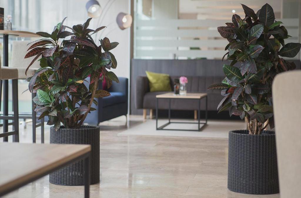 Hotel Xon's Valencia
