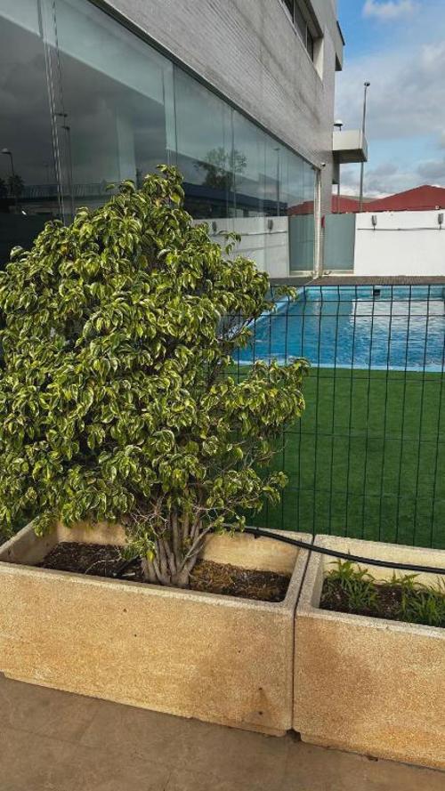Hotel Xon's Valencia