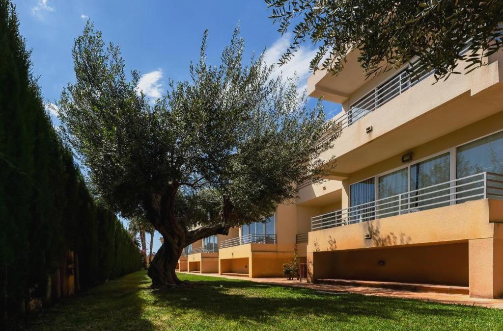 Enjoy Alicante with a visit to the Museo del Turrón (nougat museum) - Hotel Abril