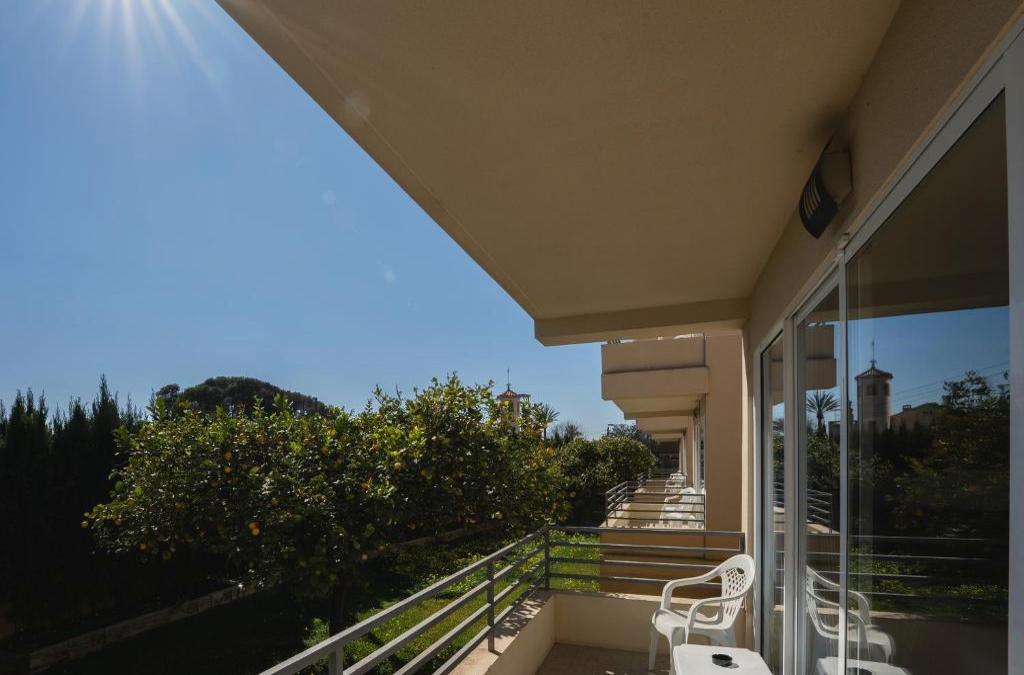 Enjoy Alicante with a visit to the Museo del Turrón (nougat museum) - Hotel Abril