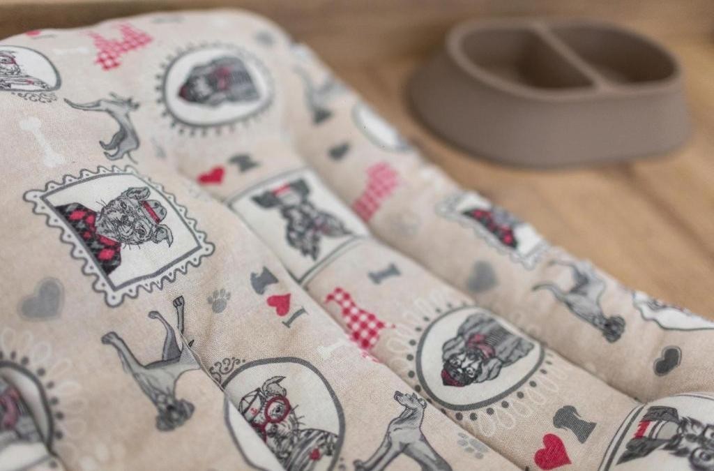 Galicia Unveiled: Explore the Enchanting Wonders of Spain's Northwest Coast - Hotel Alfonso I