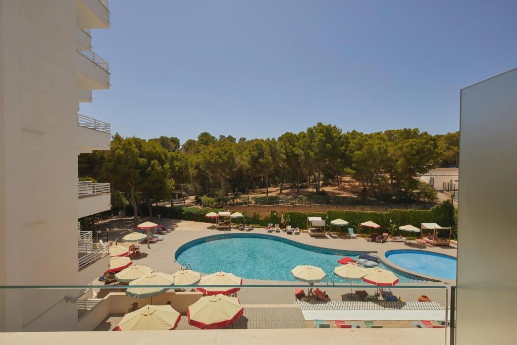 Alua Calvia