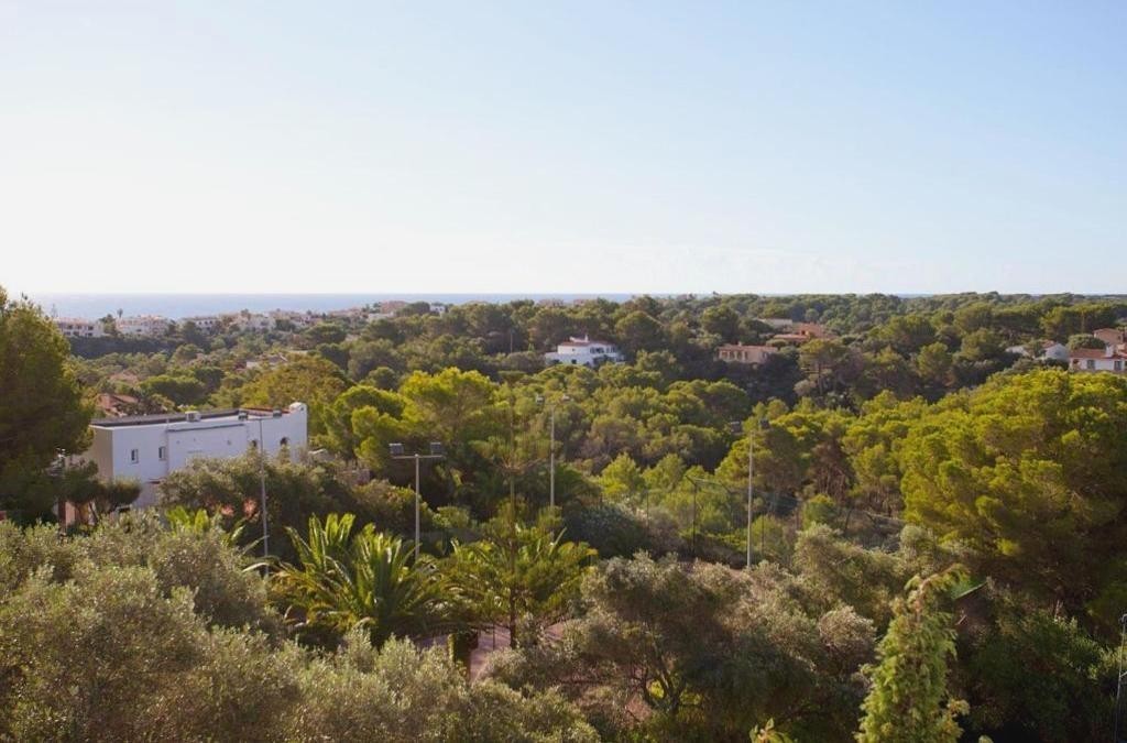Maiorca está à sua espera: relaxe num hotel 4* perto do mar - Hotel Cala Murada