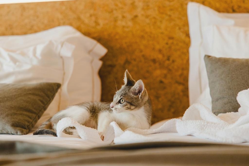 Canadiano Urban Nature Hotel