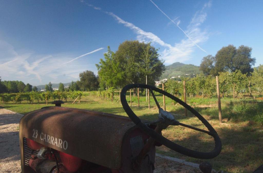 Quinta da Cancela - Winery & Farmhouse