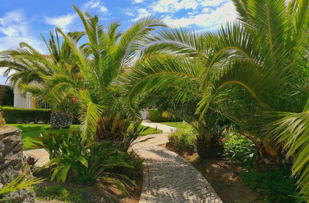 Bargain Price for Hotel Luz Bay 4* in Algarve - 40% Discounts for Kids! - Luz Bay Club Beach & Sun Hotel