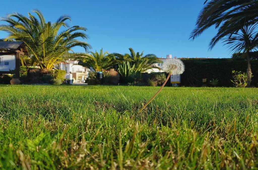 Bargain Price for Hotel Luz Bay 4* in Algarve - 40% Discounts for Kids! - Luz Bay Club Beach & Sun Hotel