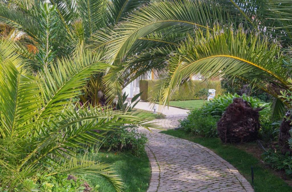 Bargain Price for Hotel Luz Bay 4* in Algarve - 40% Discounts for Kids! - Luz Bay Club Beach & Sun Hotel