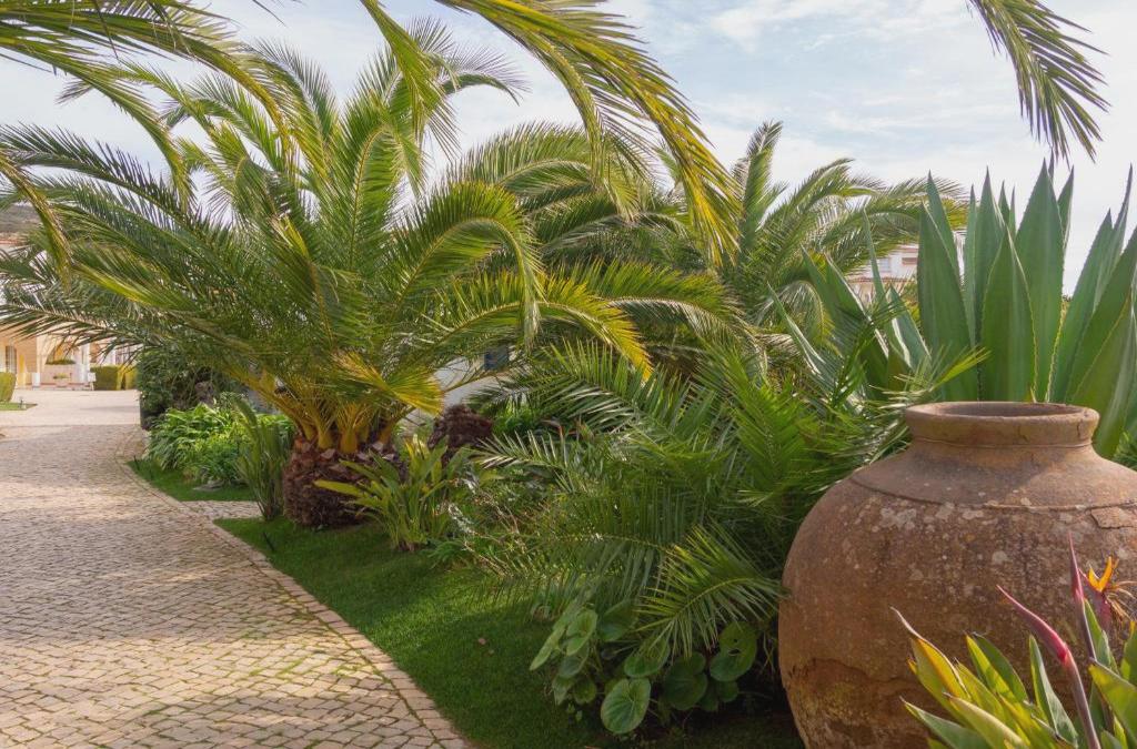 Bargain Price for Hotel Luz Bay 4* in Algarve - 40% Discounts for Kids! - Luz Bay Club Beach & Sun Hotel