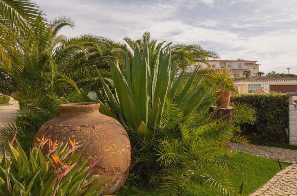 Bargain Price for Hotel Luz Bay 4* in Algarve - 40% Discounts for Kids! - Luz Bay Club Beach & Sun Hotel