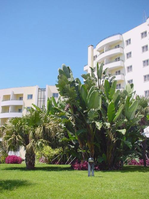 Suite Hotel Jardins d'Ajuda