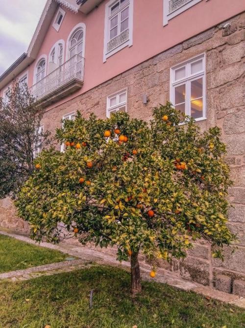 Entdecken Sie den Norden Portugals - Ribeira Collection Hotel by Piamonte Hotels